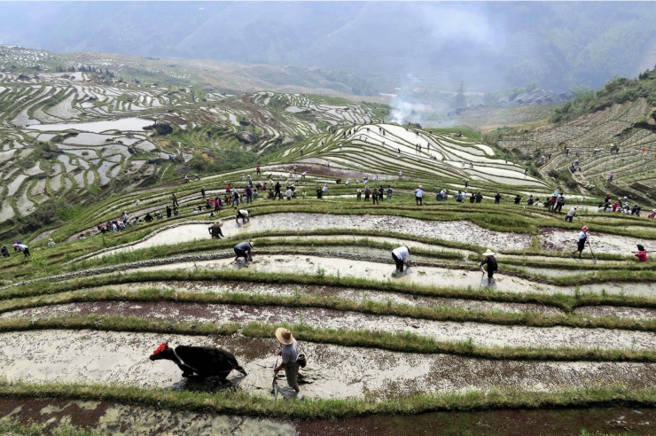 Contadini al lavoro nelle campagne del Longsheng, in Cina.